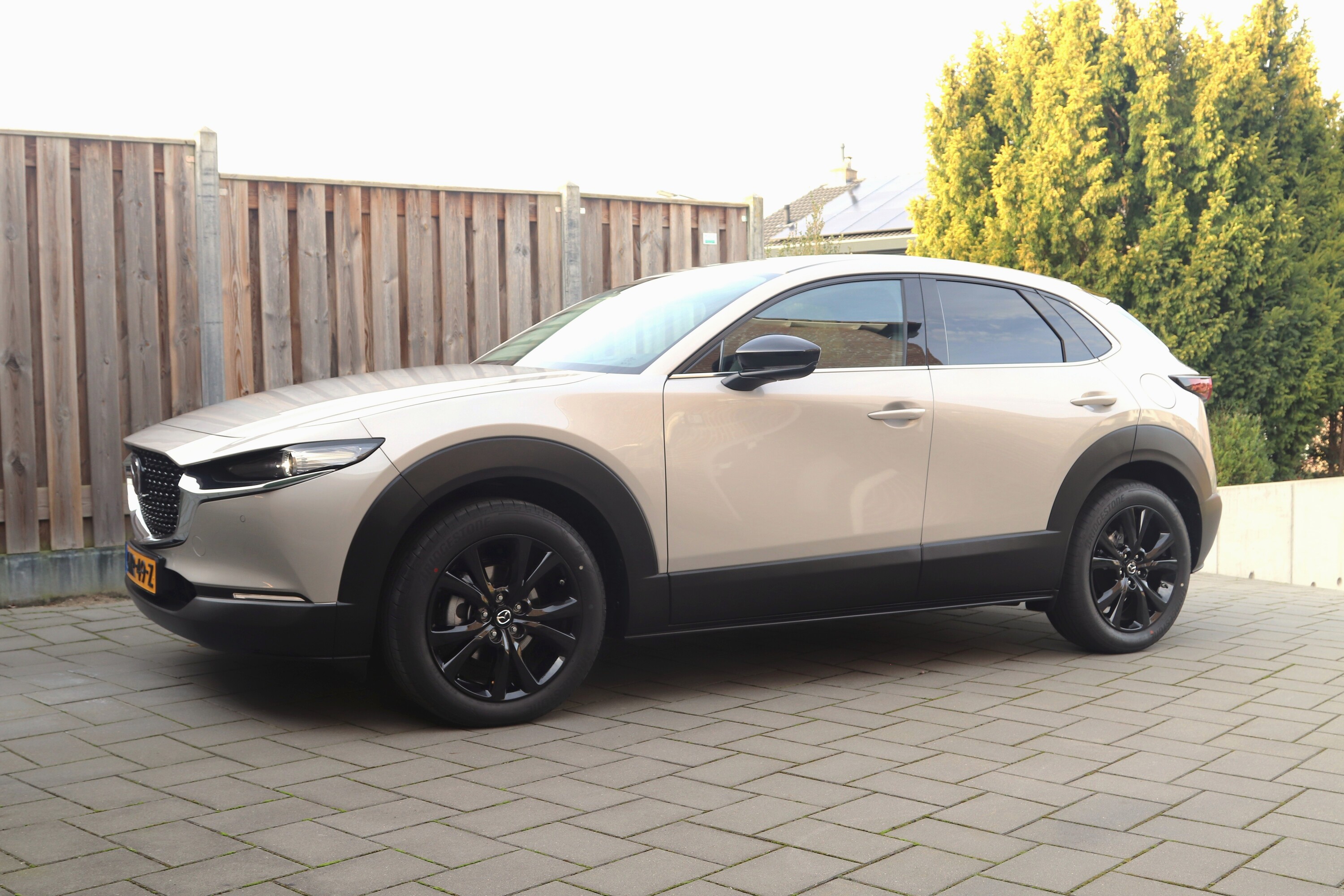 CX-30